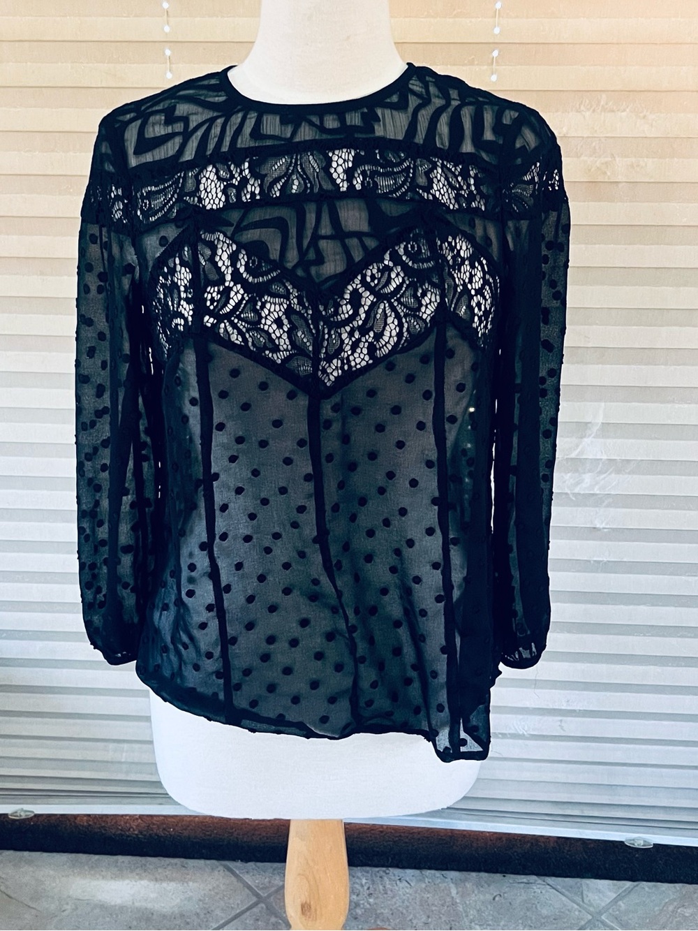 HD in Paris Black Sheer Lace & Polka Dot Blouse